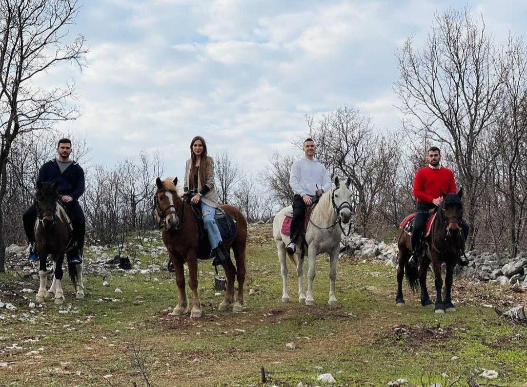 פודגוריצה Katun Mokra Accommodation & Horseback Riding מראה חיצוני תמונה