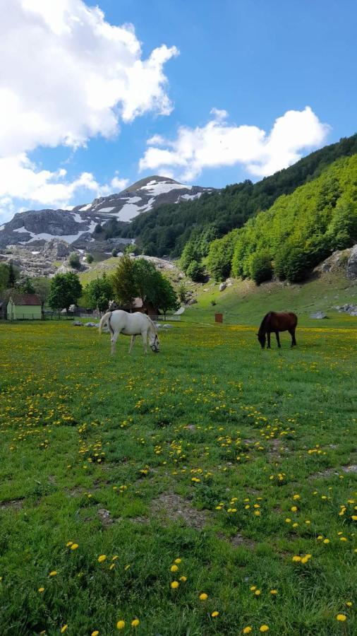 פודגוריצה Katun Mokra Accommodation & Horseback Riding מראה חיצוני תמונה