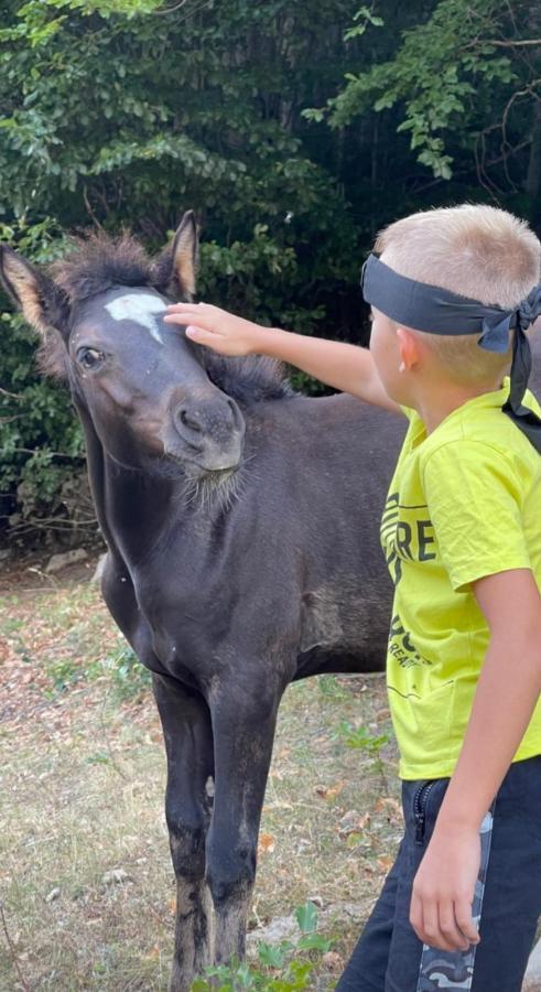 פודגוריצה Katun Mokra Accommodation & Horseback Riding מראה חיצוני תמונה