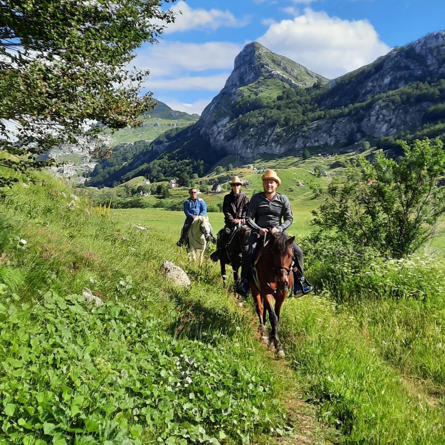 פודגוריצה Katun Mokra Accommodation & Horseback Riding מראה חיצוני תמונה