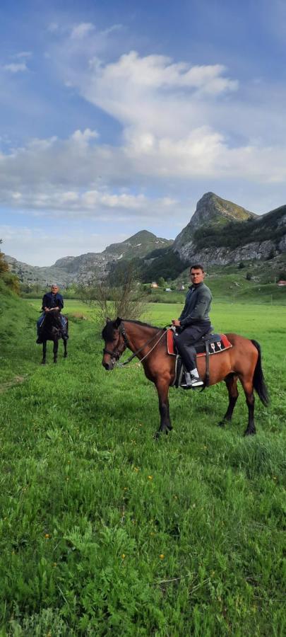 פודגוריצה Katun Mokra Accommodation & Horseback Riding מראה חיצוני תמונה