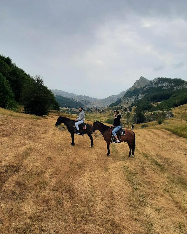 פודגוריצה Katun Mokra Accommodation & Horseback Riding מראה חיצוני תמונה